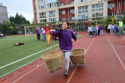 丰收 采摘 体验...这个秋天,朝阳学子收获值max