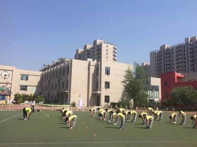 月季花开,相约北京