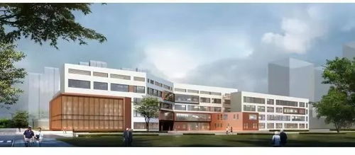 敲定 河西惊现稀缺小户型学区房,总价300万起 还是 铁片