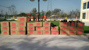 朝阳中心幼儿园 爱心义捐 双羊小学 学校管理论坛 尧头小学 跳绳比赛 开发区小学 法制报告会