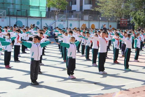 火力全开 跟随朝阳学子们一起 趣 运动吧