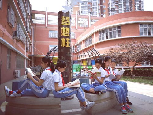 北京市朝阳师范学校附属小学 探索思维生长,培育核心素养