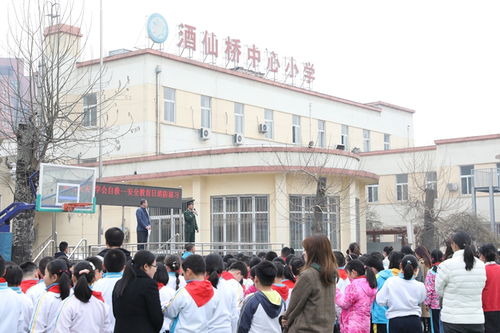 朝阳区酒仙桥中心小学开展安全教育日主题教育活动