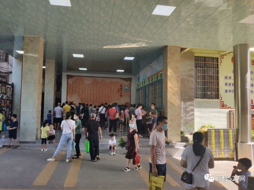 开学啦 镜头直击今日藤县各小学一年级新生材料验证现场 与往年大有不同