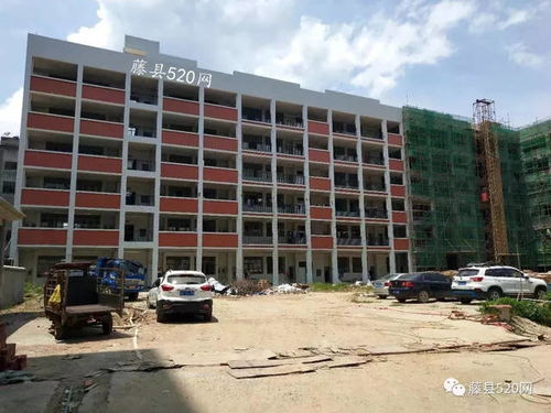 藤县第五小学 朝阳小学 潭津中心校2018年一年级新生招生验证通知