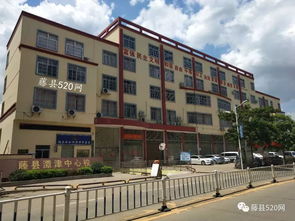 藤县第五小学 朝阳小学 潭津中心校2018年一年级新生招生验证通知