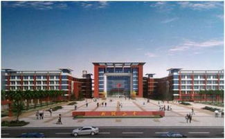 从幼儿园到大学,武汉人挤破头都想去的学校竟是这些