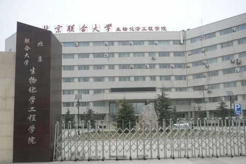 朝阳中心小学——培育未来的摇篮