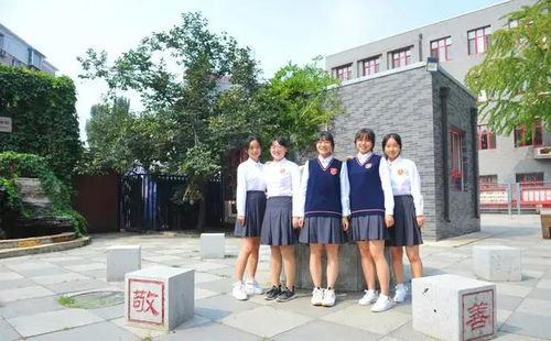 中央美术学院附属实验学校（朝阳中心小学）2023年招生启动