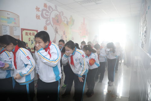 筑牢安全防线 守护快乐童年——朝阳区酒仙桥中心小学开展安全教育日主题教育活动